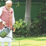 ऐकावे ते नवलच! मोदींनी घरात लावले सिंदूरचे रोपटे