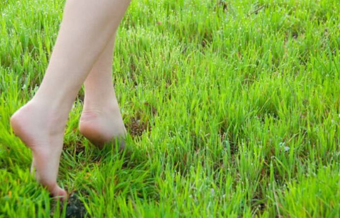 Walking (2)