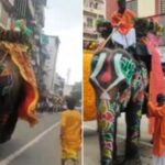 गजराज बिथरला! अहमदाबादच्या जगन्नाथ रथयात्रेत हत्तींचा थरार, भाविकांची पळापळ