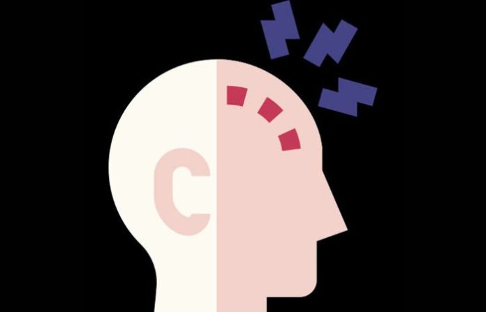 brain
