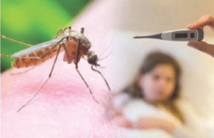 dengue