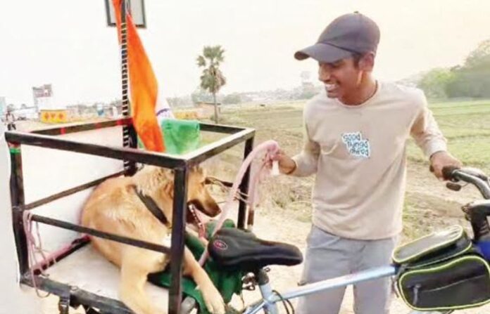 dog's journey to India