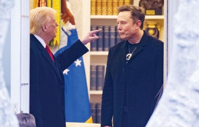 donald trump and elon musk