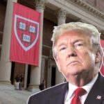 ट्रम्प पुन्हा तोंडघशी पडले; कोर्टाकडून आणखी एका तुघलकी निर्णयाला स्थगिती, हिंदुस्थानच्या शेकडो विद्यार्थ्यांना दिलासा