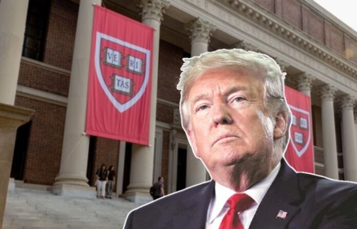 donald trump Harvard University