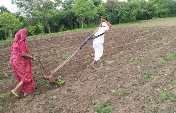 farmer