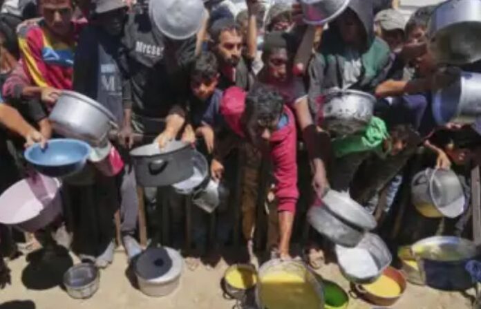 gaza food distribution