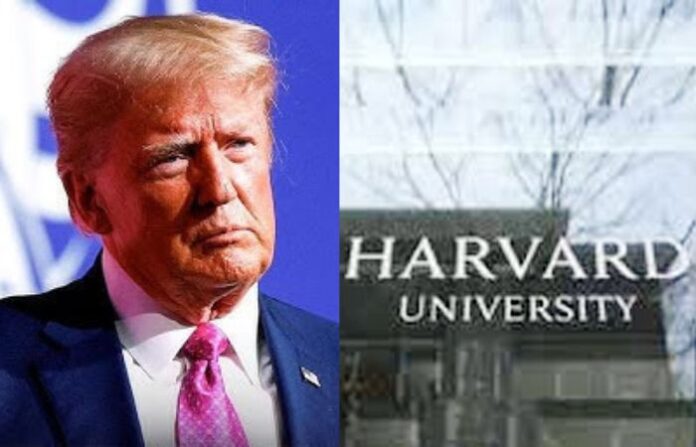 harvard 1