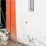 ‘सेंट जॉन द बॅप्टिस्ट’चा जन्मोत्सव सुरू असताना अनर्थ घडला; अज्ञाताच्या अंदाधुंद गोळीबारात 12 ठार, अनेक जखमी