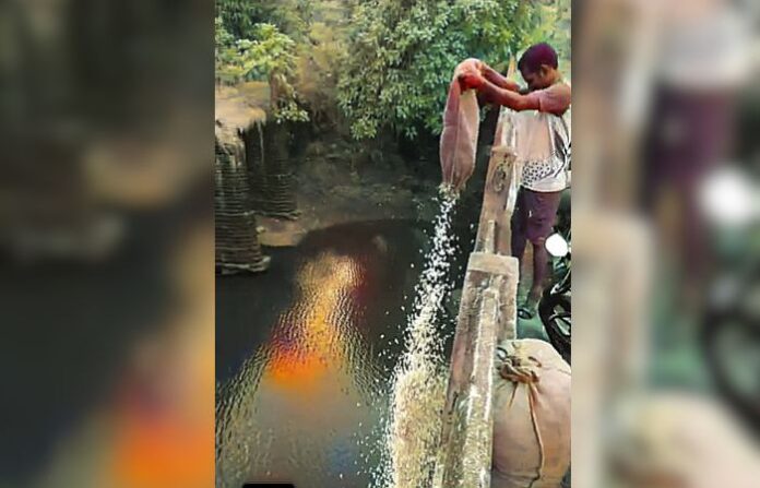 mokhada mogra flower farmer