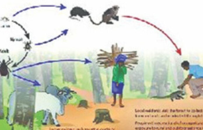monkey-fever-dangerous-health-alert