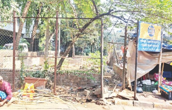 parel (1)