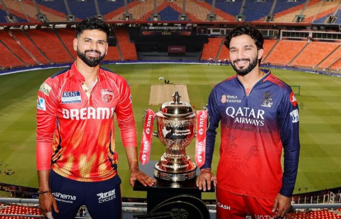 pbks vs rcb ipl 2025 final (1)