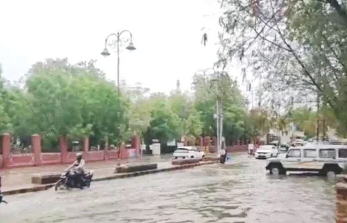 rajasthan