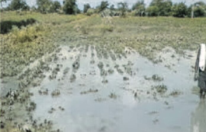 sambhajinagar (5)