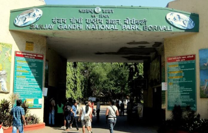 sanjay gandhi national park