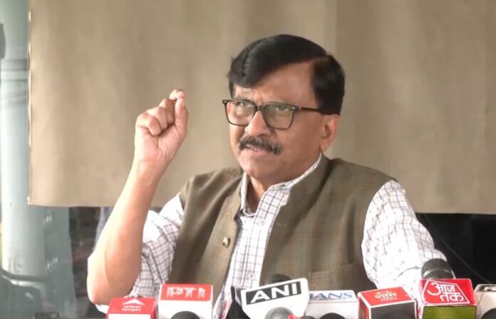 sanjay raut on raj fadnavis