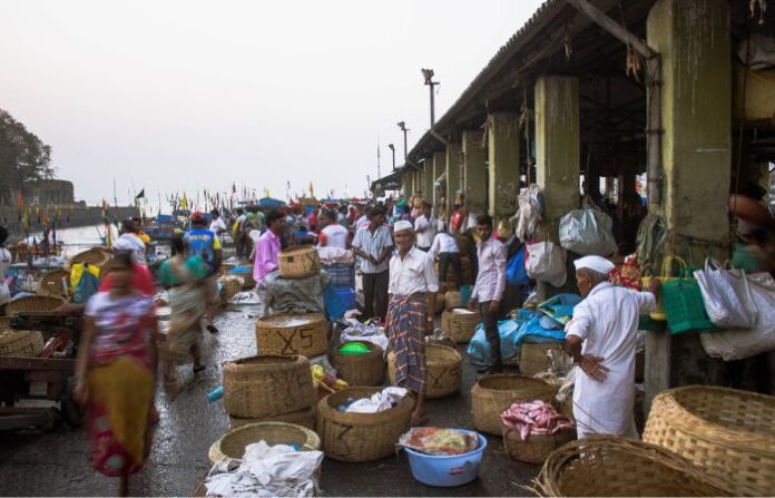 sassoon docks