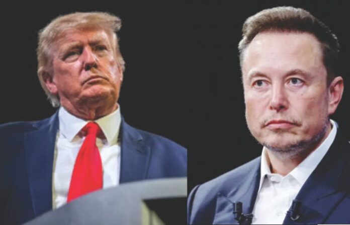 trump and musk