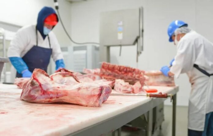 Alexandria Clover Meat Compan