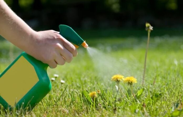 Bogus Herbicides