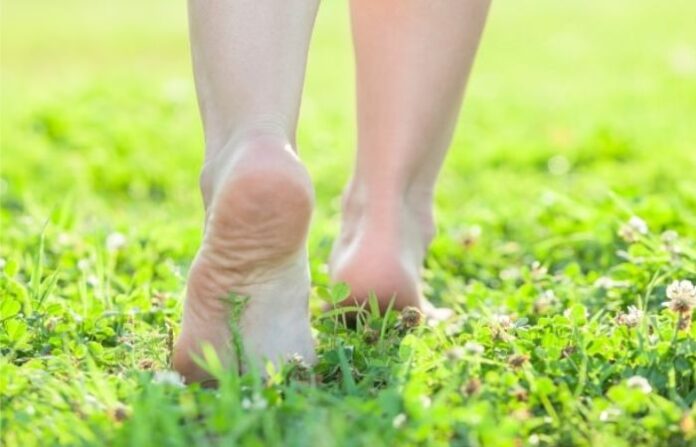 Grass Walk (2)