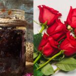 Health Tips – महिलांनी गुलकंद खाल्ल्यास मिळतील हे आरोग्यवर्धक फायदे, वाचा