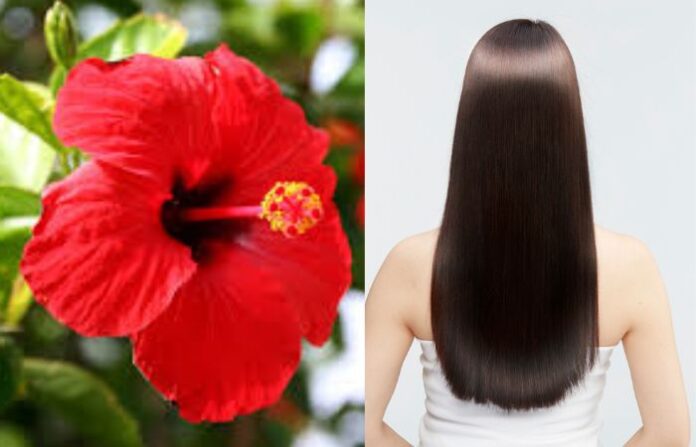 Hair (14)