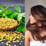 Hair Care – केसांच्या उत्तम आरोग्यासाठी मेथीदाणे वरदानापेक्षा कमी नाही, वाचा