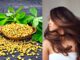 Hair Care – केसांना किती वेळ मालिश करणे गरजेचे असते, मालिश करताना मेथी दाण्याचा उपयोग कसा करावा?
