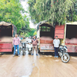Illegal Slaughterhouse Raided in Sangamner; 2700 Kg Beef Seized