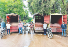 Illegal Slaughterhouse Raided in Sangamner; 2700 Kg Beef Seized