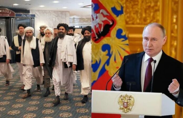 Putin (2)