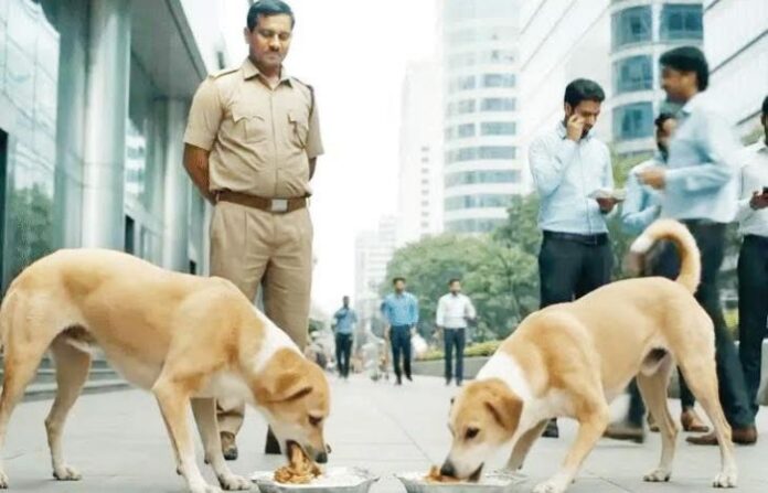 Street Dog