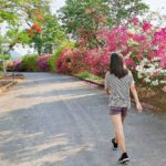 जेवणानंतर 100 पावलं का चालायला हवे, जाणून घ्या