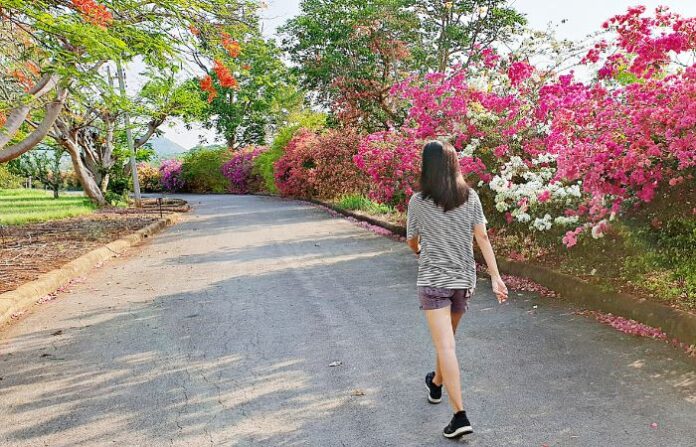 Walking (5)