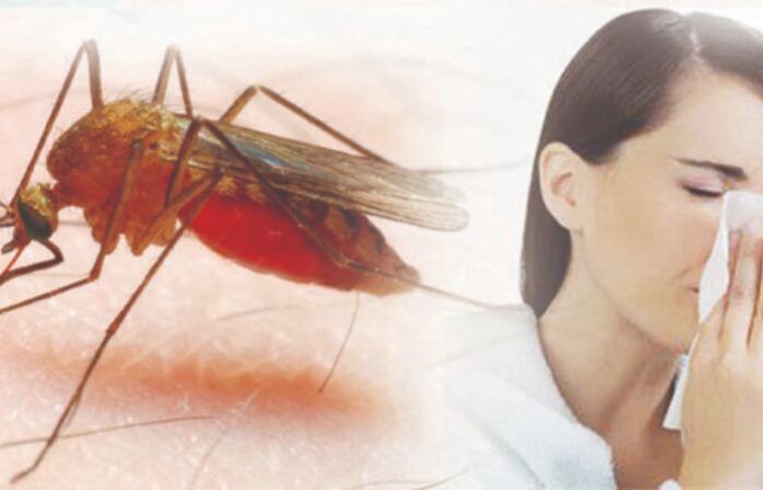 dengue malaria