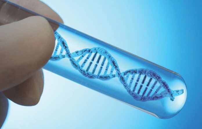 dna