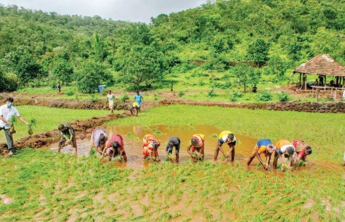 farming