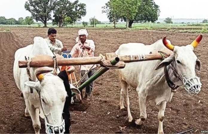 farming