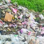 पाण्याची डबकी, गटारींची अस्वच्छता, कचऱ्याचा ढीग… घोडेगावात नागरिकांच्या आरोग्याची हेळसांड