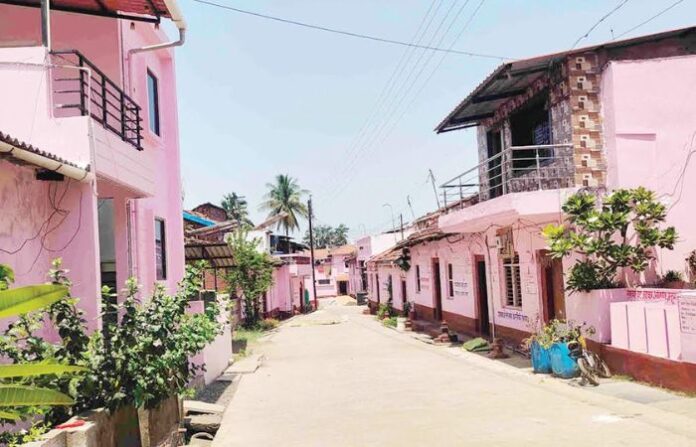 gulabi gaav