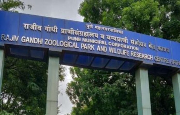 rajiv gandhi zoological park