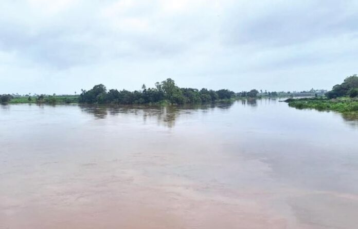 sangli water level