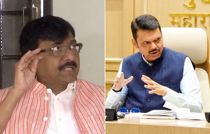 sanjay raut on fadnavis