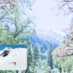 बॅग पॅकर्स – रोमांचक सार पास