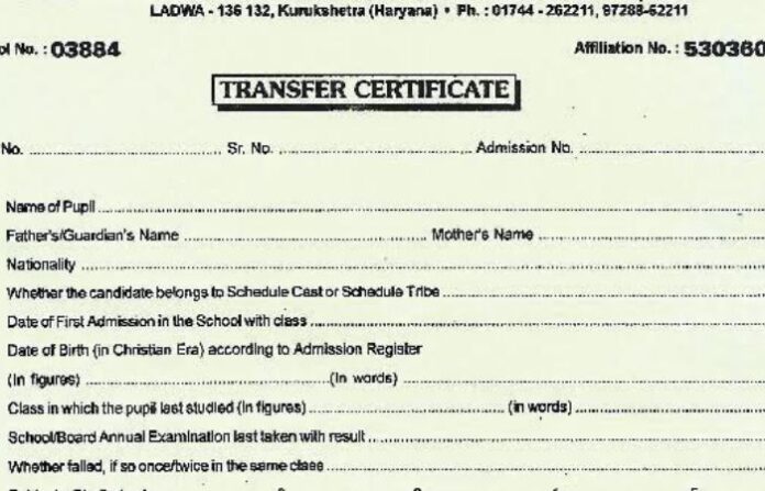 school certificate
