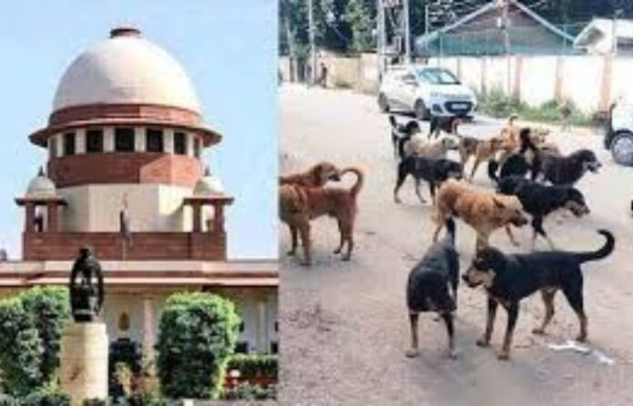 supreme court