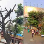 होर्डिंग दिसण्यासाठी झाडाला विष टोचून मारले, लता मंगेशकर नाट्यगृहाजवळील वृक्षाने घेतला अखेरचा श्वास