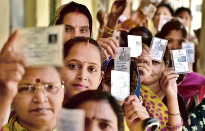 voter